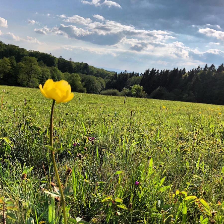 Tannenhof Guest house 3*