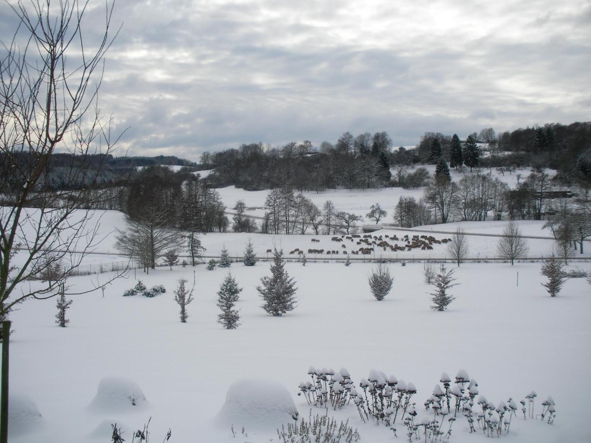 Gasthof Tannenhof Gonterskirchen
