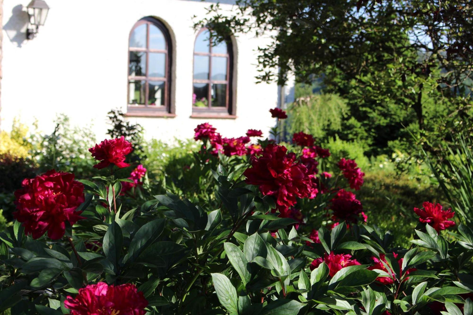 Tannenhof 3*
